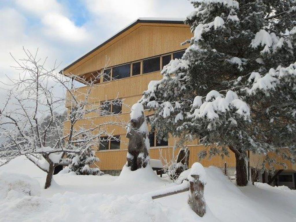 Ferienwohnung Haus Katharina Schnepfau Exterior foto